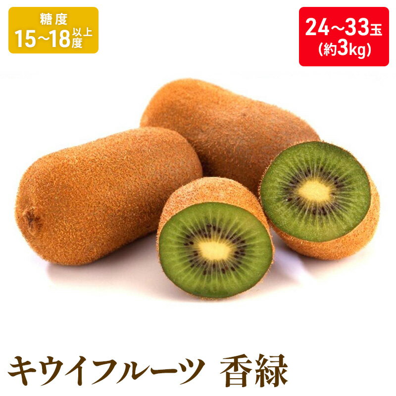 【ふるさと納税】キウイフルーツ「香緑」約3kg_キウイフルーツ 果物詰合せ くだもの 　お届け：2026年11月20日～2027年1月31日
