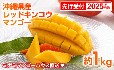 【先行受付】【2026年発送】ミナミマンゴーハウスの赤金煌(レッドキンコウ）マンゴー約1kg - 先行予約 沖縄県産 産地直送 南国フルーツ 旬の味覚 希少種 希少栽培 オススメ 沖縄県 八重瀬町