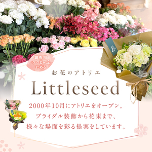 お楽しみ！ 4週連続 お届け お花 の 定期便 「Large」 |  花 ブーケ タイプ 高さ35-40cm 本数12-17本 