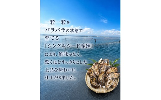【訳あり】殻付き真牡蠣 600g | 牡蠣 カキ かき 真牡蠣 生食用 殻付き 海鮮 魚介 海のミルク おつまみ おかず 訳あり 家庭用 大分県 中津市