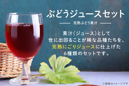 【極甘】 ワイン用 ぶどうジュース 6本セット [ぼんヴィーノファーム 長野県 池田町 48110735] 葡萄 ブドウ ストレート ギフト 極甘 果汁 100