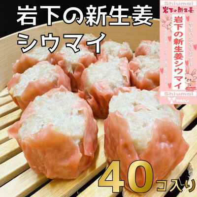 【ふるさと納税】【鹿沼新名物】ヤオハンオリジナル岩下の新生姜シウマイ　40個入(1600g)【配送不可地域：離島】【1505367】