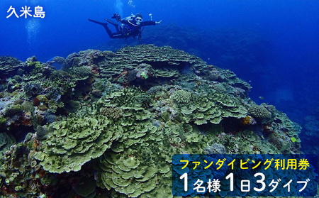 ダイビング 久米島ファンダイビング利用券1名様　1日3ダイブ マリン アクティビティ