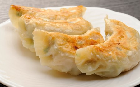餃子 北海道の食材たっぷり！手作り餃子５袋セット スリーエス