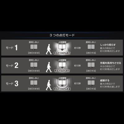 ふるさと納税 小野市 大進 ソーラー充電式LEDセンサーライト2灯 DLS-17T200 防犯ライト ソーラーライト 防雨 |  | 03