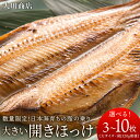 【ふるさと納税】 大きい開きほっけ 選べる3枚～10枚セット＜大川商店＞北海道ふるさと納税 積丹町 ふるさと納税 海鮮 北海道 ほっけ 開き ホッケ 北海道産 真ホッケ 魚 法華