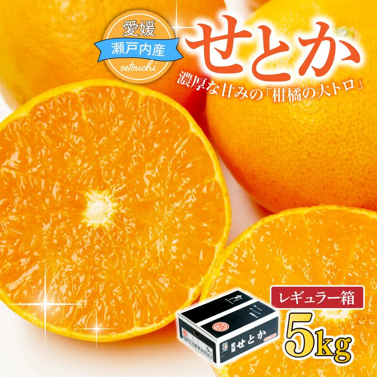 【先行受付】せとか 5kg レギュラー箱 みかん 柑橘