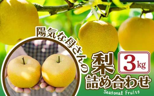 【先行予約】数量限定・期間限定【陽気な母さんの店】Ｒ8年産「梨詰合」(3kg)  50P3425【陽気な母さんの店 】