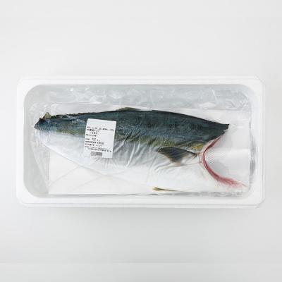 ふるさと納税 佐伯市 <先行予約受付中!2026年11月以降順次発送予定!>海の匠 ブリ フィレ (1.2kg) |  | 01
