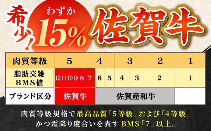 【全6回定期便】佐賀牛 ハンバーグ 5個セット 黒毛和牛 牛肉 定期便 ハンバーグ 個包装 佐賀牛ハンバーグ 佐賀 6ヶ月 定期
