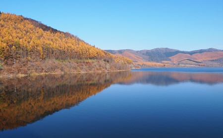 ペットと泊まろう♪コテージ1棟貸し・自炊プラン（2～5名利用）冬季　※11～5月 かなやま湖 ペア 宿泊券 旅行 ホテル ログハウス BBQ可能 団体 1泊 貸切 湖畔 北海道 キャンプ