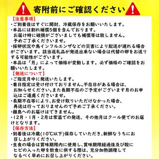 【12月発送】純卵-じゅんたまご- 40個(10個×4パック) ※割れ補償5個 たまご 卵 タマゴ 愛媛県 松山市