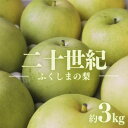 【ふるさと納税】No.1727梨　なし　二十世紀　約3kg【2025年発送】