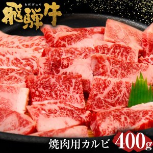 飛騨牛 カルビ 焼肉用 400g | 肉のかた山 M16S31