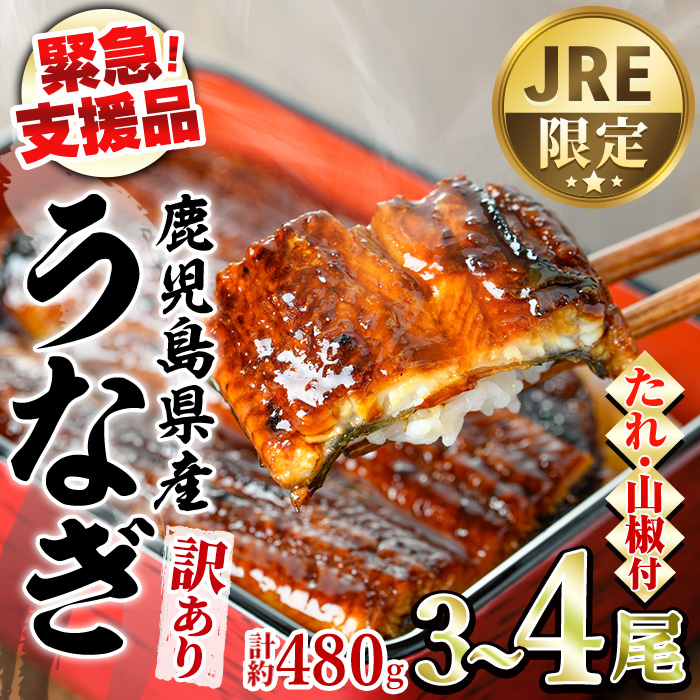 【0124351a】【JRE限定】【緊急支援品】＜訳あり＞鰻の蒲焼き(無頭)(3～4尾・計約480g・タレ、山椒付) うなぎ ウナギ 鰻 国産 蒲焼 蒲焼き たれ 鹿児島 ふるさと 人気 支援【アクアおおすみ】