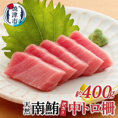 ふるさと納税 焼津市 訳あり 天然 南鮪 中トロ 約400g(a10-859)