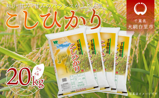 【新米】令和6年産 千葉県産「コシヒカリ」20kg（5kg×4袋） ふるさと納税 米 20kg コシヒカリ 千葉県 大網白里市 送料無料