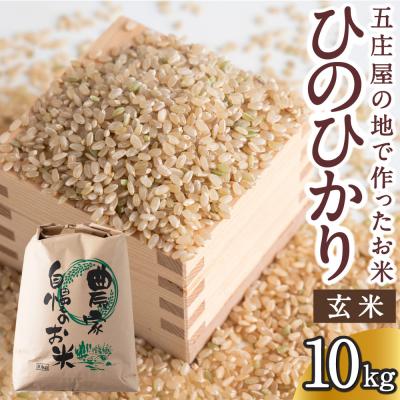 ふるさと納税 うきは市 【特Aランク米】五庄屋の地で作ったお米 ひのひかり 玄米 (10kg)【Go庄屋合同会社】 | 