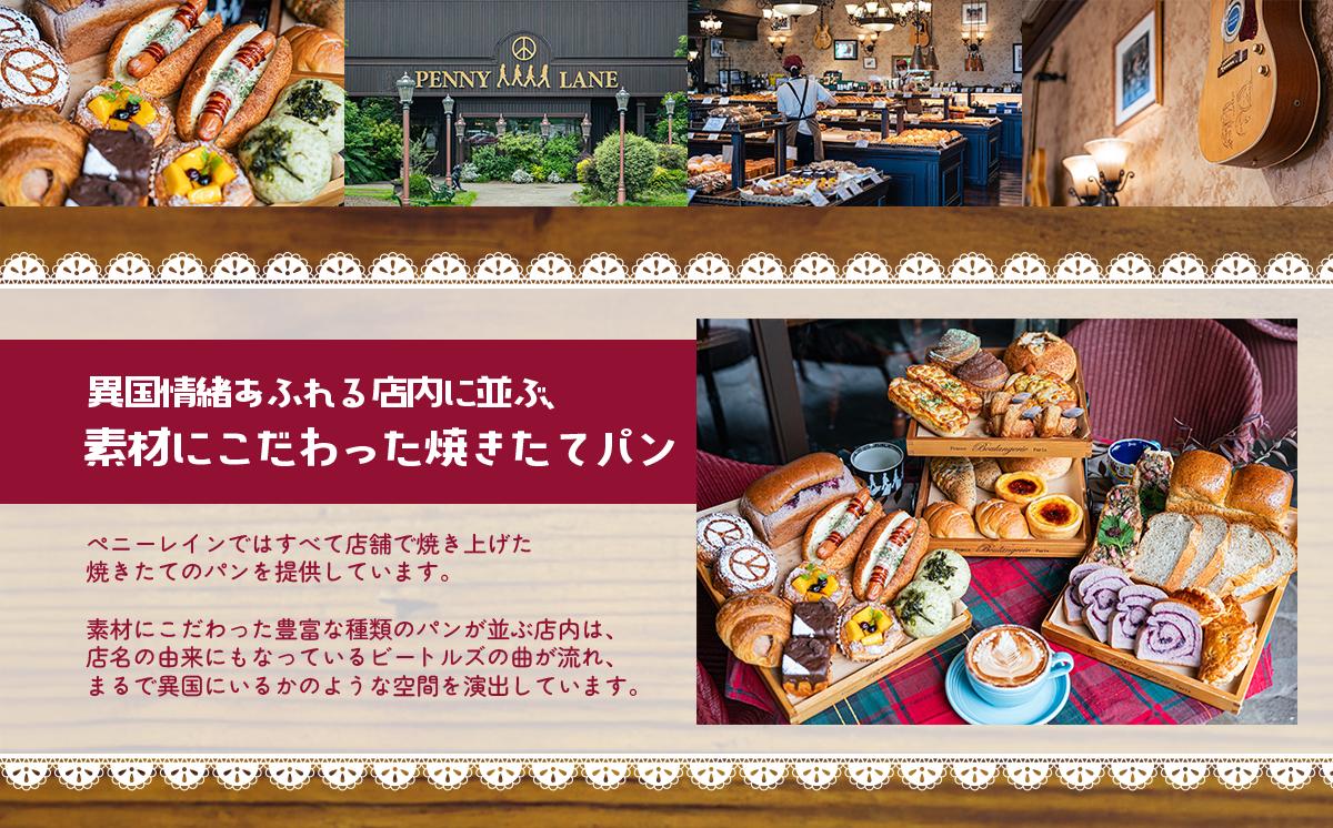 【3ヵ月定期便】ペニーレインのブルーベリーブレッド3本セット【 パン 冷凍 人気 菓子パン パン屋 茨城県 つくば市 ブルーベリー ブルーベリージャム ブルーベリーソース 冷凍パン お取り寄せ おやつ