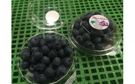 
【申込7/10まで!】 川上産 ブルーベリー1kg
