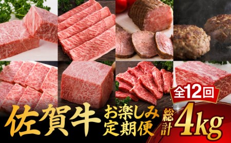 【12回定期便】 A5ランク 佐賀牛 高級 霜降り 食べ比べ 定期便 約2人前 総計4kg 20万 /焼肉どすこい [UCC002] 佐賀牛 牛肉 黒毛和牛 佐賀牛ステーキ 佐賀牛ロース 佐賀牛霜降り