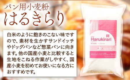 北海道十勝 前田農産パン用小麦粉「はるきらり」5㎏ 強力粉 国産 菓子パン 食パン ピザ バケット ホームベーカリー《60日以内に出荷予定(土日祝除く)》