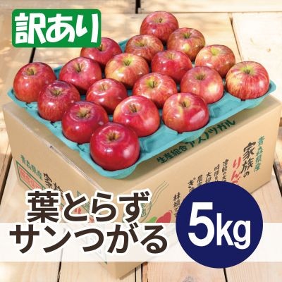 【26年9月より順次発送】平均糖度12度以上! 葉とらずサンつがる 約5kg 訳あり  クール便【配送不可地域：離島・沖縄県】