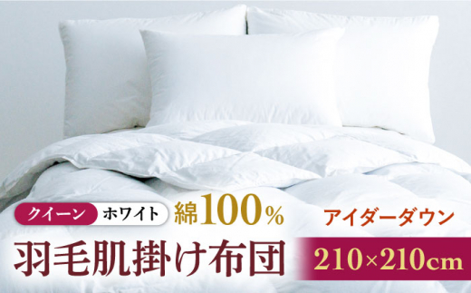 【クイーン】【至福の寝ごこち】 羽毛布団 肌掛け アイダーダウン×綿100％（ホワイト・精紡交撚）《壱岐市》【富士新幸九州】 [JDH086]  アイダーダウン 布団 ふとん 綿100％ 肌掛け ダウンケット  掛布団 掛け布団 クイーン  1500000 1500000円 150万円