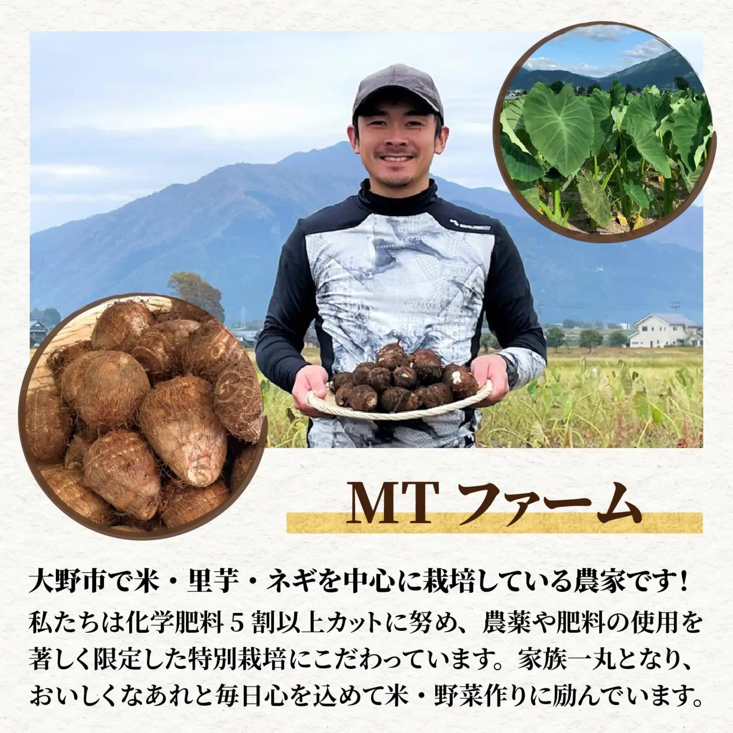 越前大野産 里芋【1月から順次発送】4.5kg 土付里芋 特別栽培  [A-008002]