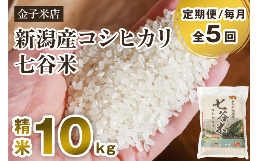 【令和7年産】【定期便5ヶ月毎月お届け】老舗米穀店が厳選 新潟県加茂市産コシヒカリ「七谷米」精米10kg（5kg×2）〈順次出荷〉 従来品種 白米 窒素ガス充填パックで鮮度長持ち 金子米店 定期便