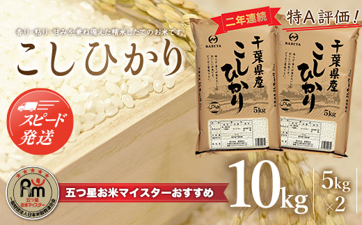 【最短2～7営業日出荷】令和7年産 2年連続特A評価!千葉県産コシヒカリ10kg（5kg×2袋） E001