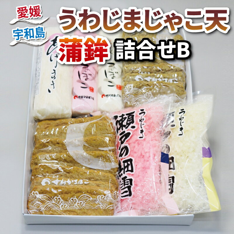 【ふるさと納税】 じゃこ天 蒲鉾 詰め合わせ Bセット 中村かまぼこ店 揚巻 上板蒲鉾 削り蒲鉾 紅白 すり身 練り物 冷蔵 惣菜 フライ だし てんぷら 天ぷら かま天 かまぼこ 揚げかまぼこ 蒲鉾 カマボコ 練り物 練物 郷土料理 酒 おつまみ 特産品 愛媛 宇和島 C018-013002