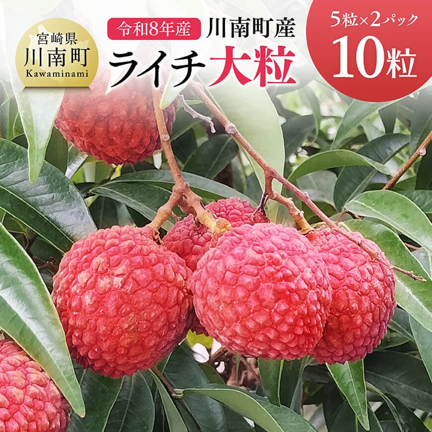 【ふるさと納税】【令和8年産】川南町産ライチ（大粒）10粒(5粒×2パック) - 国産 宮崎県 川南町 ライチ 希少 フルーツ デザート 果物 くだもの 国産ライチ 送料無料 C03203