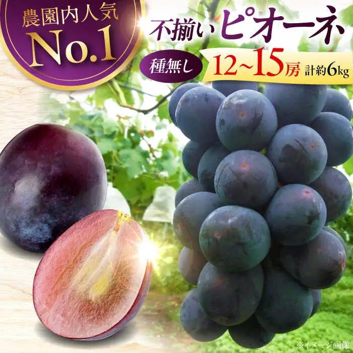 【2026年先行予約】＜8月下旬から順次発送＞【訳あり】 ピオーネ 6kg [APCK004] ぶどう ピオーネ