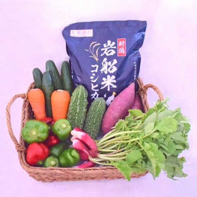【ふるさと納税】【令和6年産米】新潟県岩船米コシヒカリ2kgと季節の野菜セット1 お米 白米 ご飯 ごはん 調味料 産地直送 村上市 A4031