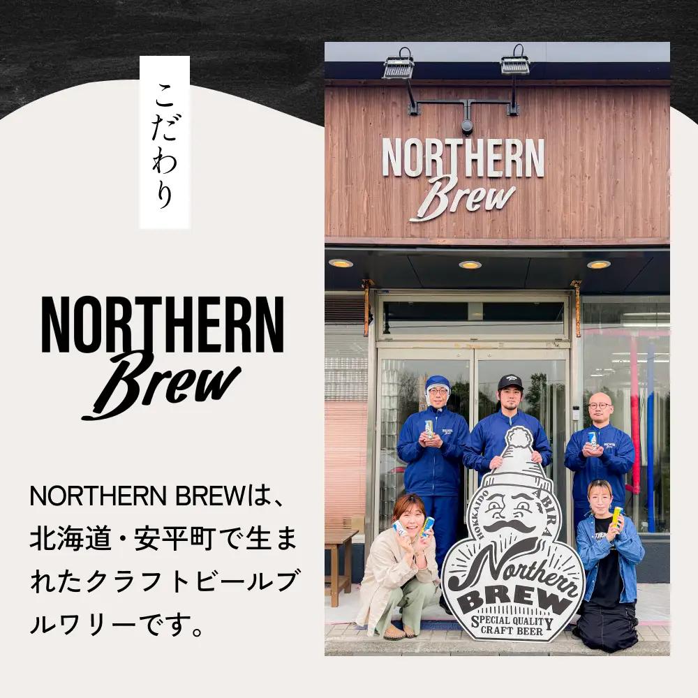クラフトビール NORTHERN BREW ＜ TAP1(ABIRA OATS HAZY) ＞ 6本 250ml 北海道 安平町 ビール 地ビール 缶ビール 人気 定番 ギフト