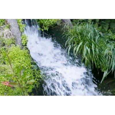 ふるさと納税 南魚沼市 【発送月固定定期便】南魚沼産コシヒカリ山本家精米10kg【従来品種】10月下旬より順次発送全6回 |  | 02