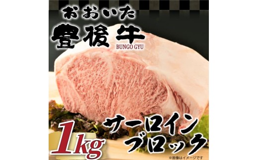 【厳選部位】おおいた豊後牛サーロインブロック 1kg | 牛 豊後牛 国産牛 ステーキ肉 大分県産 九州産 津久見市 国産