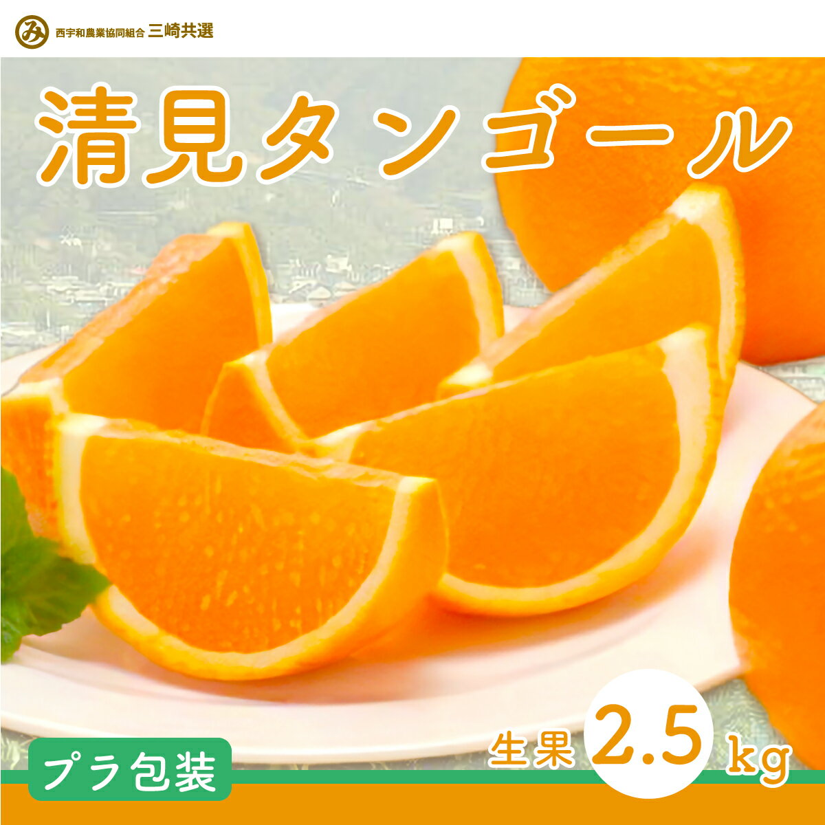 【ふるさと納税】【先行予約】清見タンゴール（Pプラ包装・生果2.5kg）※離島への配送不可（2027年6月上旬～6月中旬頃より順次発送予定）【 人気 おすすめ 柑橘 みかん 清見タンゴール mikan 蜜柑 果物 生果 フルーツ 愛媛県産 愛媛県 伊方町 送料無料】IKTBD006