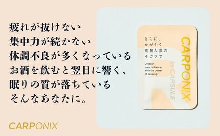 黒高麗人参「CARPONIX」4粒入り×30袋 【定期便 3ヶ月】 サプリメント サプリ 黒高麗人参 カプセル ジンセノサイド 千葉市