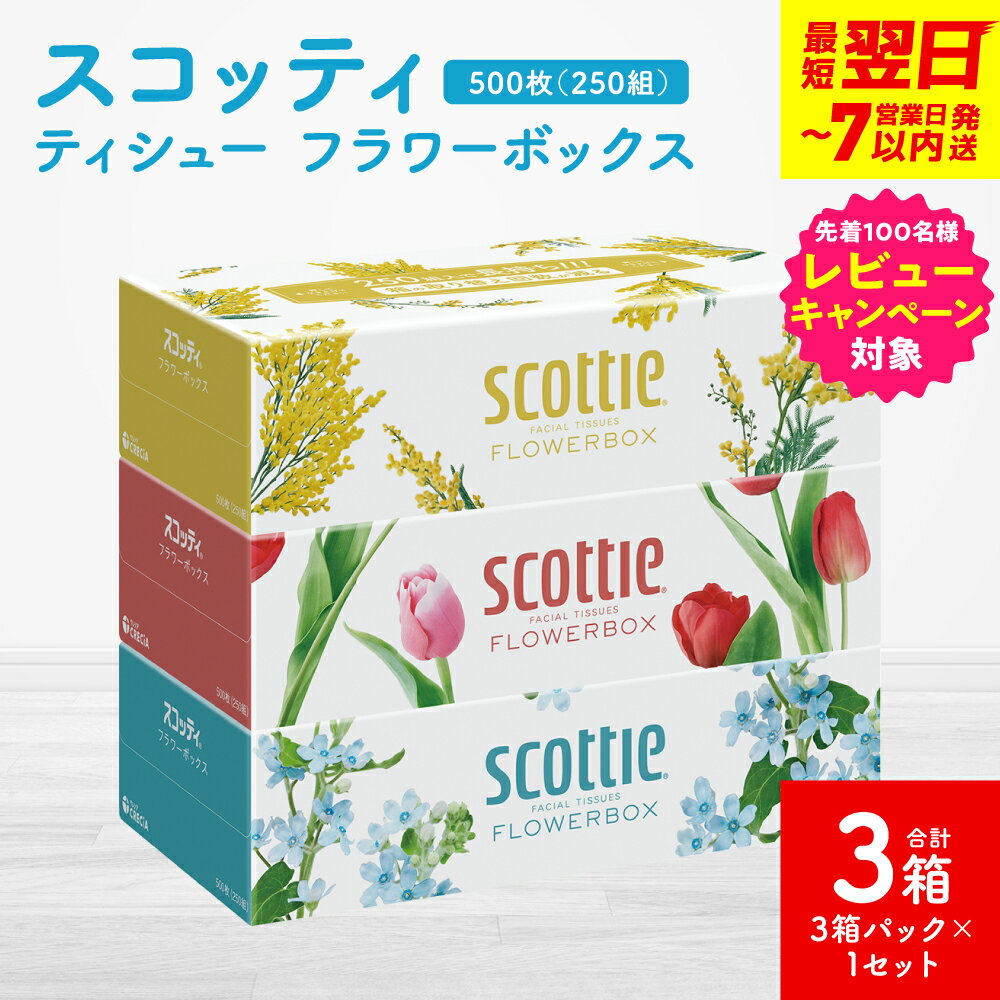 【ふるさと納税】＼レビューキャンペーン開催中／【スコッティ】ティシュー フラワーボックス 250組（3箱パック×1セット 合計3箱）ティッシュ 日用品 生活必需品 送料無料 スピード発送 【7営業日以内に発送】