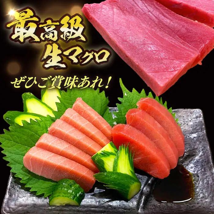 冷蔵！生本マグロ 赤身 計約600g マグロ まぐろ 鮪 刺身 五島列島産養殖 [RBN015] 本マグロ 本まぐろ 本マグロ 本まぐろ 本マグロ 本まぐろ 本マグロ 本まぐろ九州 長崎