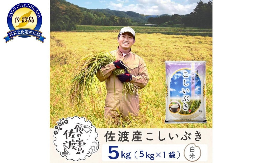 
            【新米予約】佐渡島産こしいぶき 白米5Kg 令和7年 ～農薬5割減～ 農家直送
          
