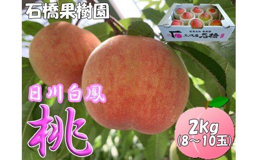 
            石橋果樹園 日川白鳳 2kg（8～10玉）
          