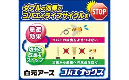 コバエがいなくなる コバエナックス 3個セット | 虫よけ 虫よけ 虫よけ 虫よけ 虫よけ