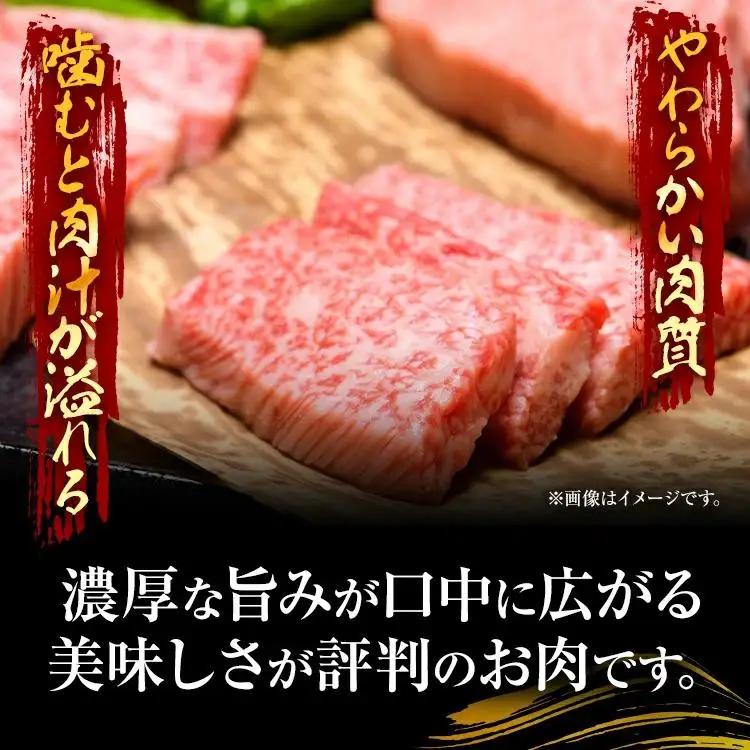 博多和牛焼肉用 500g 黒毛和牛 お取り寄せグルメ お取り寄せ お土産 九州 福岡土産 取り寄せ グルメ MEAT PLUS CP019