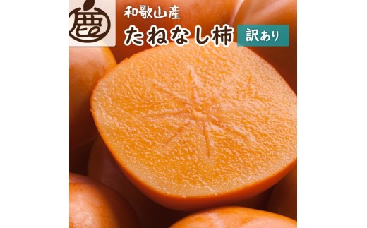 家庭用 たねなし柿 約10kg【刀根早生・平核無柿（ひらたねなしかき）】【カキ・種無柿・種無し柿・種なし柿・無核柿】