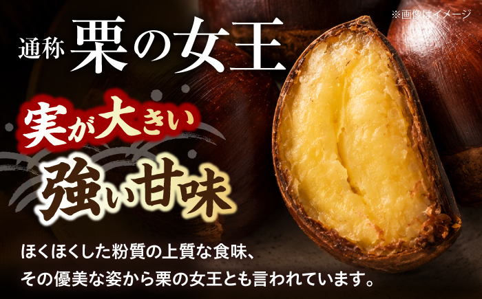 【先行予約】【2026年9月下旬から順次発送】和栗の代表！上品な甘さ！あじさい農園の高級生栗「銀寄」（1kg）　愛媛県大洲市/あじさい農園 [AGAE010]くり クリ モンブラン マロン 秋の味覚 