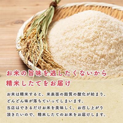 ふるさと納税 潟上市 【毎月定期便】秋田県産あきたこまち 家計お助け米(精米)5kg全3回 |  | 01
