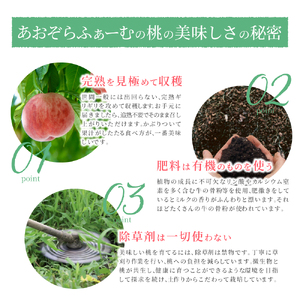 もも あまくてとろ～り芳醇な桃【5～6玉】【先行予約】【2026年6月下旬～8月上旬順次発送】 かつらぎ町 【aozf001】